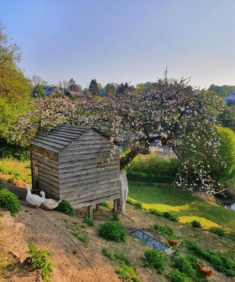 La Maison Du Sabotier Custinne Exteriör bild